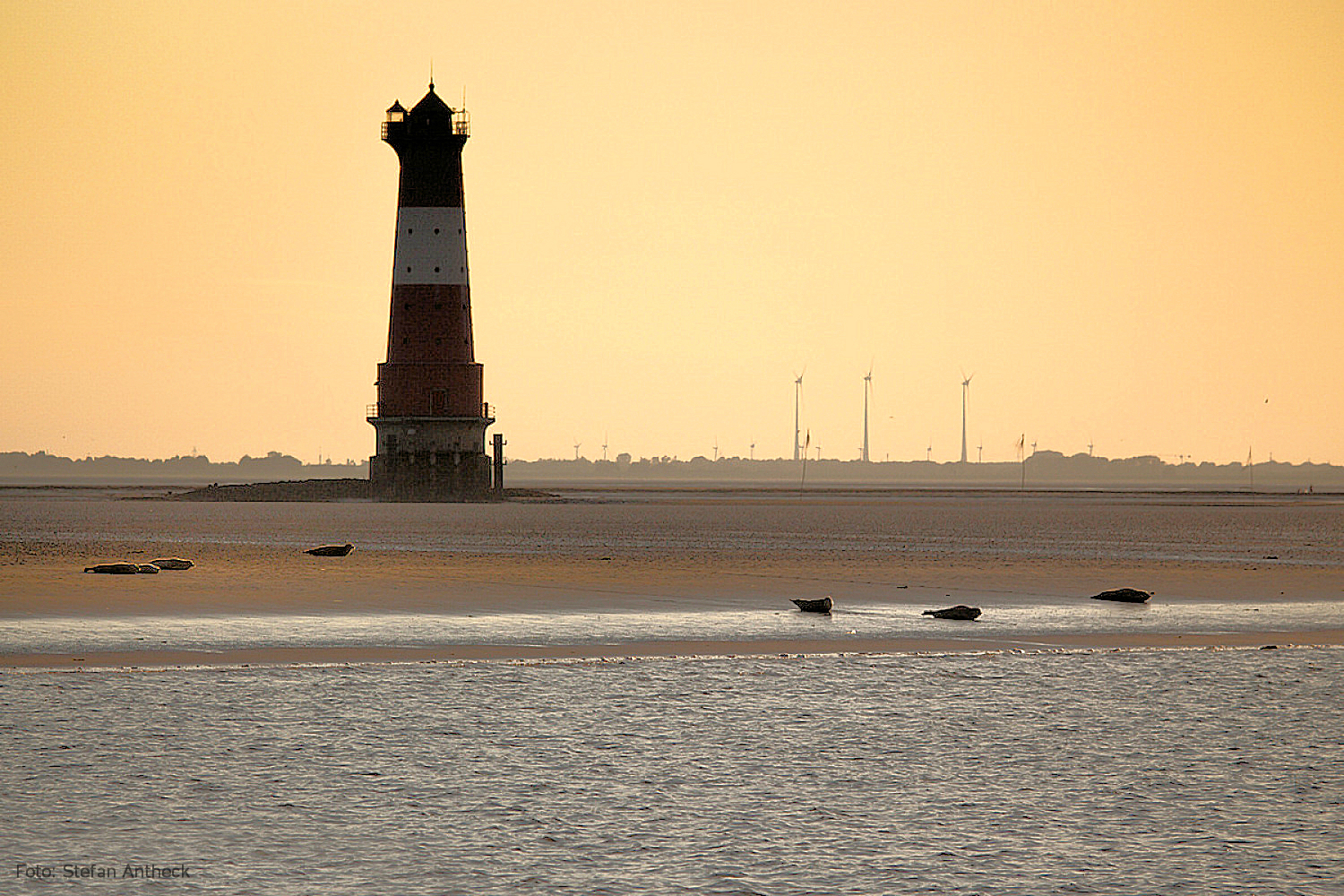 Leuchtturm Arngast mit Seehunden