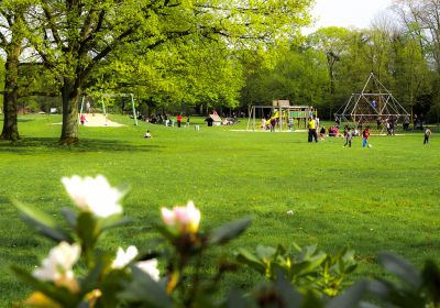 Große Wiese mit einigen Bäumen. Im Hintergrund Spielgeräte mit spielenden Kindern und Familien.