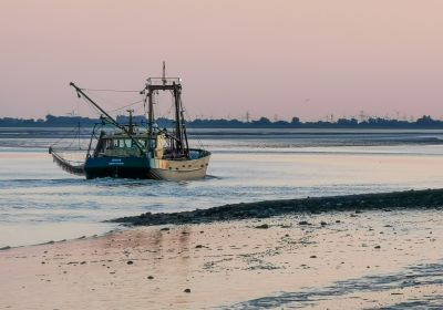 Fischkutter vor dem Fliegerdeich in der Abenddämmerung