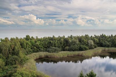 Blick vom Signalturm auf der Schleuseninsel auf den benachbarten Teich, die Reste der ehemaligen Hafeneinfahrt. Im Hintergrund ist das offene Meer mit Leuchtturm Arngast und dem Oberfeuer Jappensand zu erkennen. Das Ufer des Teichs ist mit Schilf bewachsen und die gesamte Umgebung komplett mit Bäumen und Büschen.